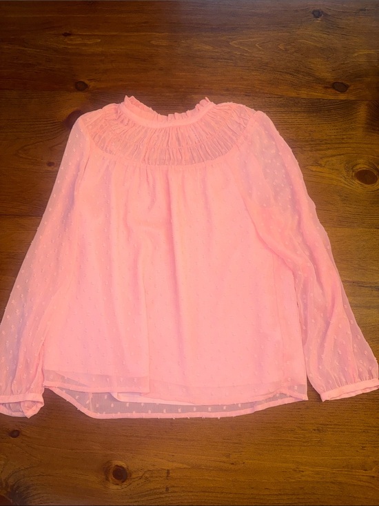 J. Crew Tops - J. Crew Pink Sheer Ruffle Blouse